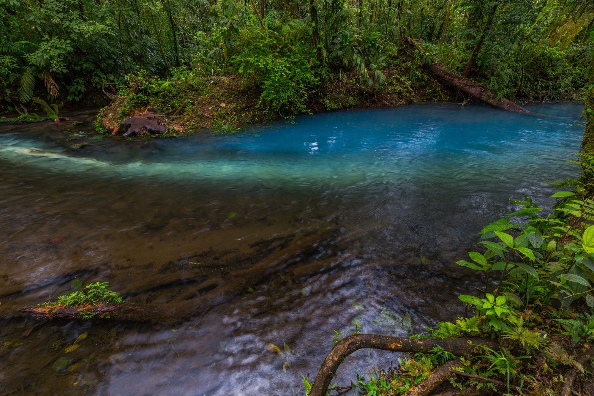 Billets et horaires du Río Celeste : le guide complet 2026
