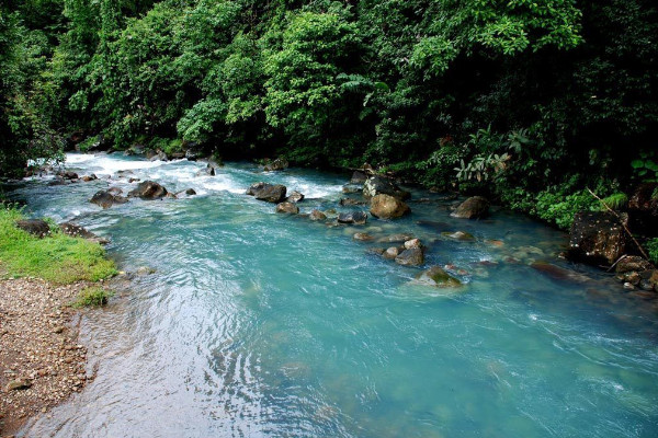 Rio Celeste in Bijagua Costa Rica