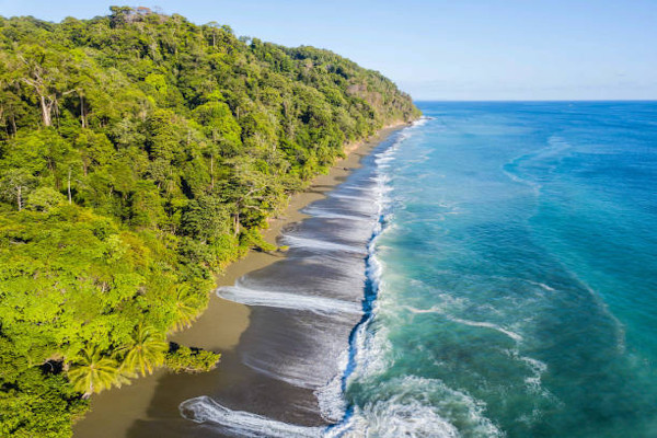 top 5 natural experiences in costa rica corcovado