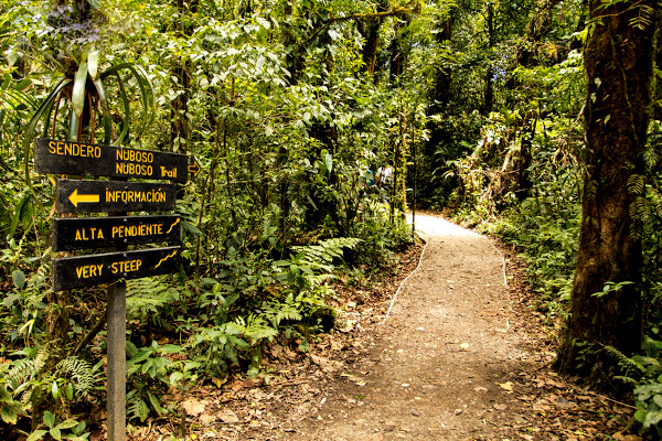 hiking in Monteverde cloud forest reserve - sgin